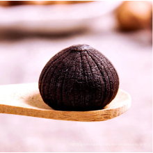 Top quality black garlic from china to export